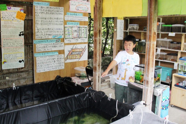 手作りの池ではフナやウナギが泳ぐ＝三田市川原