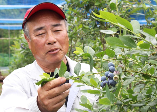「生のおいしさを味わって」と話す平岡さん＝三田市波豆川