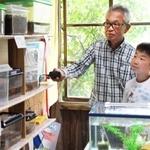 集めた生き物たちの水槽や虫かごを見つめる奥野仁君（右）と向志さん＝三田市川原