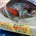トライアルの系列店で販売されたマンボウ（大桜水産提供）
