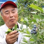 「生のおいしさを味わって」と話す平岡さん＝三田市波豆川