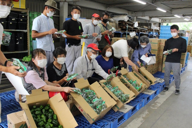 生産者が出荷基準を確認する「目慣らし会」＝三田市川除