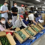 生産者が出荷基準を確認する「目慣らし会」＝三田市川除