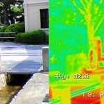 サーモグラフィーを用いてキャンパス内を撮影した熱画像