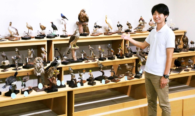 鳥類標本を紹介する布野隆之研究員＝三田市弥生が丘６