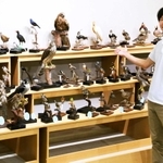 鳥類標本を紹介する布野隆之研究員＝三田市弥生が丘６