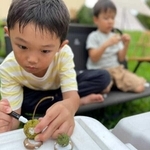 ネイチャークラフトを楽しむ子ども＝ＴＥＭＩＬ（提供）