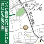 神戸新聞ＮＥＸＴ