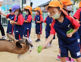 えさの野菜を手渡す＝三田市ゆりのき台５