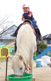 馬に乗って写真撮影＝三田市ゆりのき台５