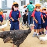 鳥に取り囲まれ、動けなくなる子どもたち＝三田市ゆりのき台５