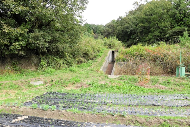 男性が襲われた現場。イノシシは山の方へ逃げていった＝三田市北浦