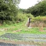 男性が襲われた現場。イノシシは山の方へ逃げていった＝三田市北浦