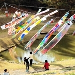 風を受けてはためく元気のぼり＝三田市尼寺