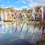 完成した「元気のぼり」。池の水面に青空と共に映し出された＝三田市尼寺