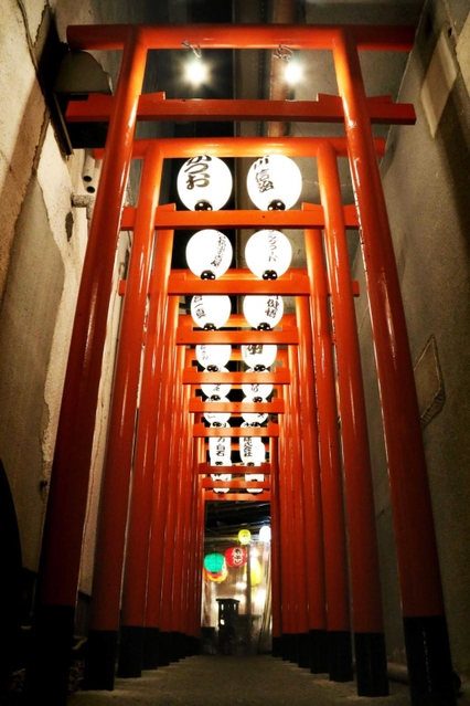 入り口部分に完成した鳥居＝三田市駅前町