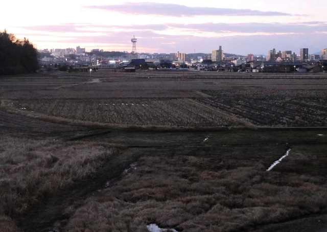 田んぼの向こうに浮かぶ市街地＝三田市内