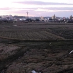田んぼの向こうに浮かぶ市街地＝三田市内