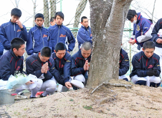 桜の木の下で線香を手向ける野球部員＝三田市南が丘２