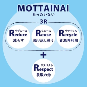 「もったいない」の概念図