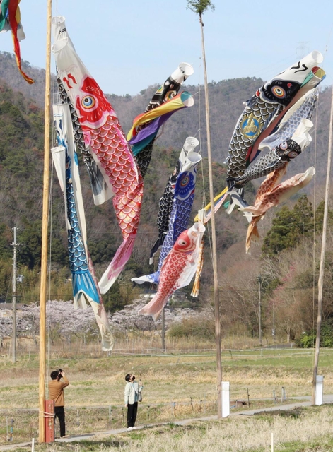 青空を泳ぐこいのぼり＝三田市藍本