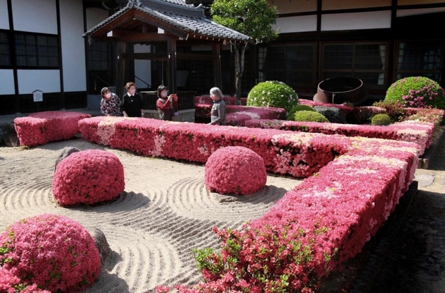 静寂の美と共演 日本庭園彩るツツジ鮮やか 赤やピンクの花見頃 三田
