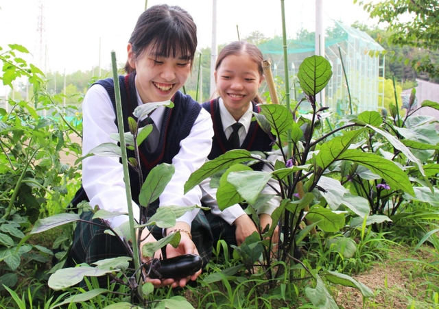 夏野菜を育てる前原さん（左）と昆野さん＝三田市ゆりのき台３
