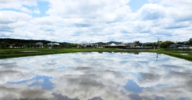 空を映す水田＝三田市川除