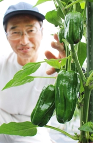 つやのある緑が特徴の「三田ピーマン」＝三田市上本庄