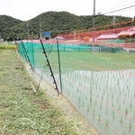 キツネからアイガモを守るために張られた電気柵＝三田市