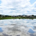 空を映す水田＝三田市川除