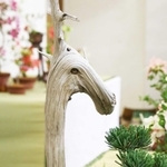 キリン？ウマ？想像膨らむ木（三田市）