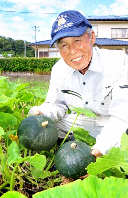 さんだくり南瓜を栽培する松山石根さん＝三田市