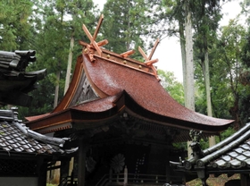 ３５年ぶりに檜皮がふき替えられた大歳神社の本殿＝三田市大原