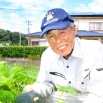 さんだくり南瓜を栽培する松山石根さん＝三田市