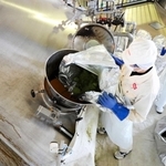 タンクに遠野産ホップを投入する従業員＝キリンビール神戸工場