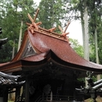 ３５年ぶりに檜皮がふき替えられた大歳神社の本殿＝三田市大原