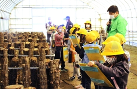 しいたけの原木を観察する児童＝三田市上相野