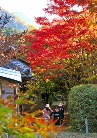 色づき始めたモミジ＝方広寺