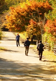 暖かな日差しを浴びながら歩く人々の姿をカメラに収めました。服装に秋らしさを感じました。（安井愛梨）