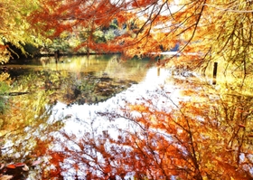 水面を染めるオレンジのグラデーション＝三田市母子