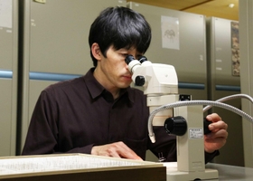 カメムシの標本を観察する山田量崇主任研究員＝県立人と自然の博物館