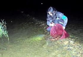 兵庫県自然保護協会のメンバーらが羽束川に放流した（兵庫県自然保護協会提供）