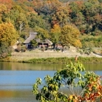 紅葉が残っている様子を入れて、小鳥が向いているところにピントを合わせました。小鳥がなぜか１人でいるので寂しそうです。（松本怜維）