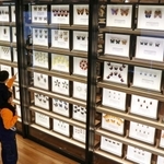 昆虫の標本を見て楽しむ家族連れ＝県立人と自然の博物館