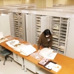 湿度や温度を保ち、大量の植物標本を収納する収蔵庫＝県立人と自然の博物館