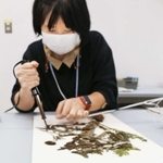 植物標本を作るスタッフ＝県立人と自然の博物館