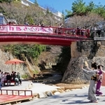 ２０２２年の有馬さくら祭