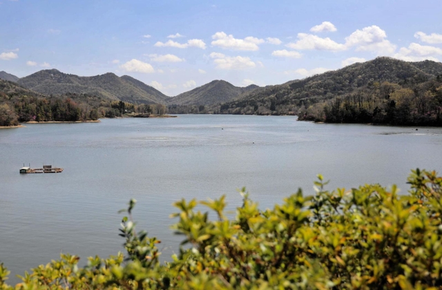 自然豊かな千丈寺湖