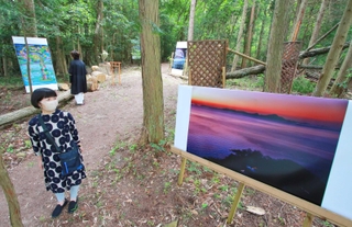 森の中、山木さんの写真など「芸術家族」の作品を楽しめる屋外展示会場＝丹波篠山市今田町木津
